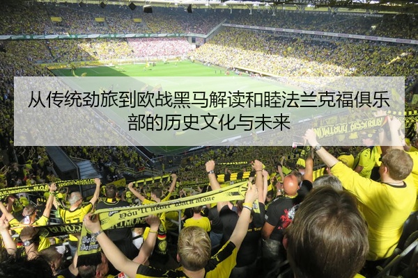 从传统劲旅到欧战黑马解读和睦法兰克福俱乐部的历史文化与未来