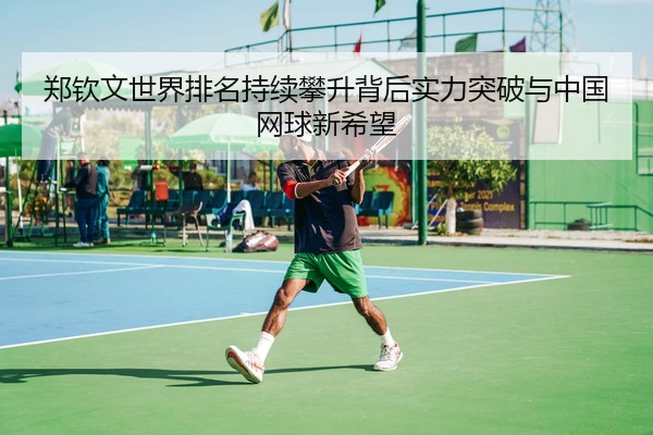 郑钦文世界排名持续攀升背后实力突破与中国网球新希望