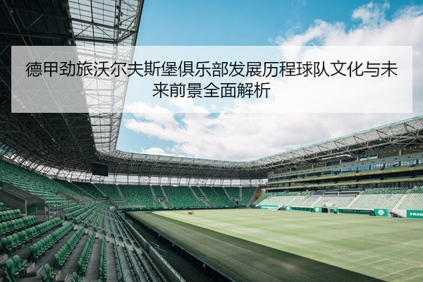 德甲劲旅沃尔夫斯堡俱乐部发展历程球队文化与未来前景全面解析